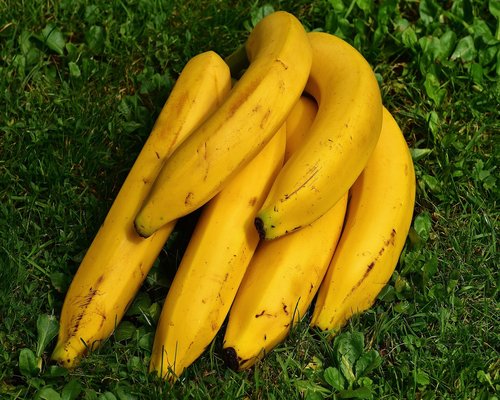 A bunch of yellow bananas and snake fruit in a woven basket